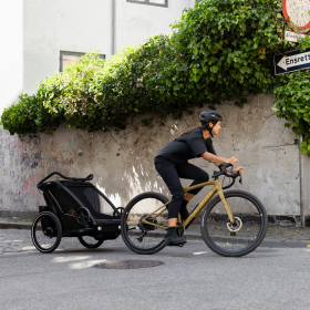 thule chariot sport 2 double 5